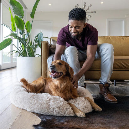 Pet Bed – Pet's Favorite Fuzzy Snuggle Nest