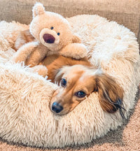 Pet Bed – Pet's Favorite Fuzzy Snuggle Nest