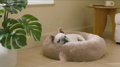 Pet Bed – Pet's Favorite Fuzzy Snuggle Nest