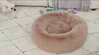 Pet Bed – Pet's Favorite Fuzzy Snuggle Nest